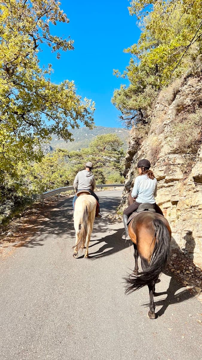 SOUBRANA CHEVAL MONTAGNE — photo 1