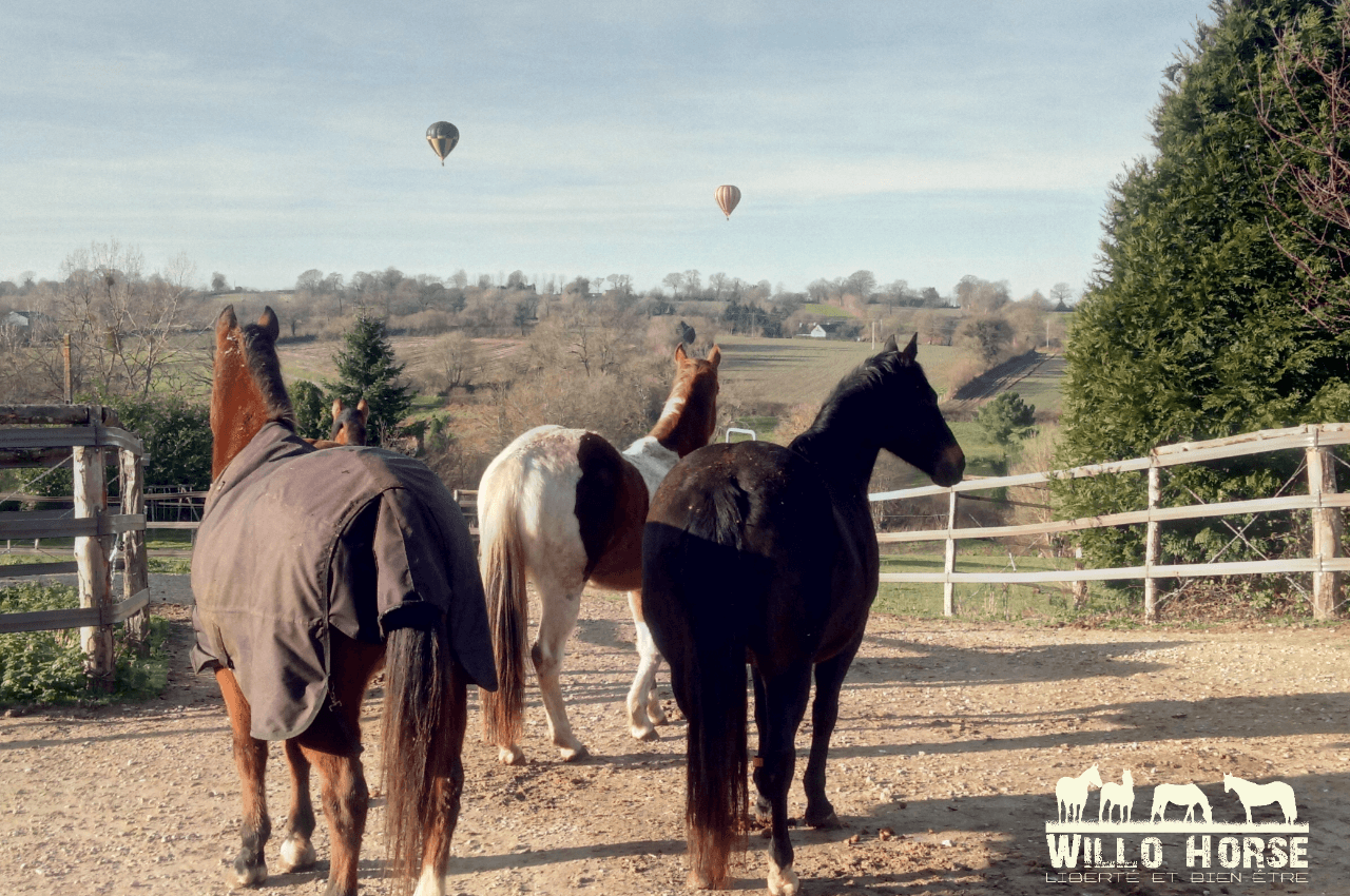 TIPI RANCH — photo 1