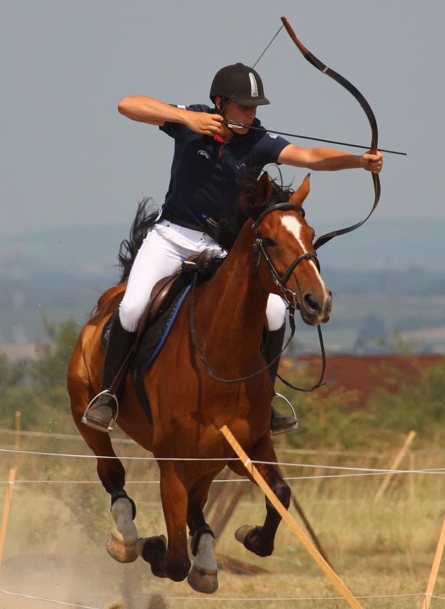 TIR A L ARC A CHEVAL DES EGAGERIES — photo 1