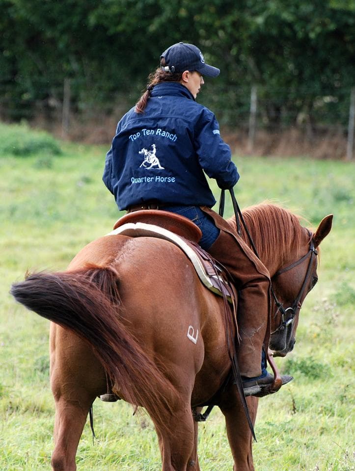 TOP TEN RANCH QUARTER HORSE — photo 1