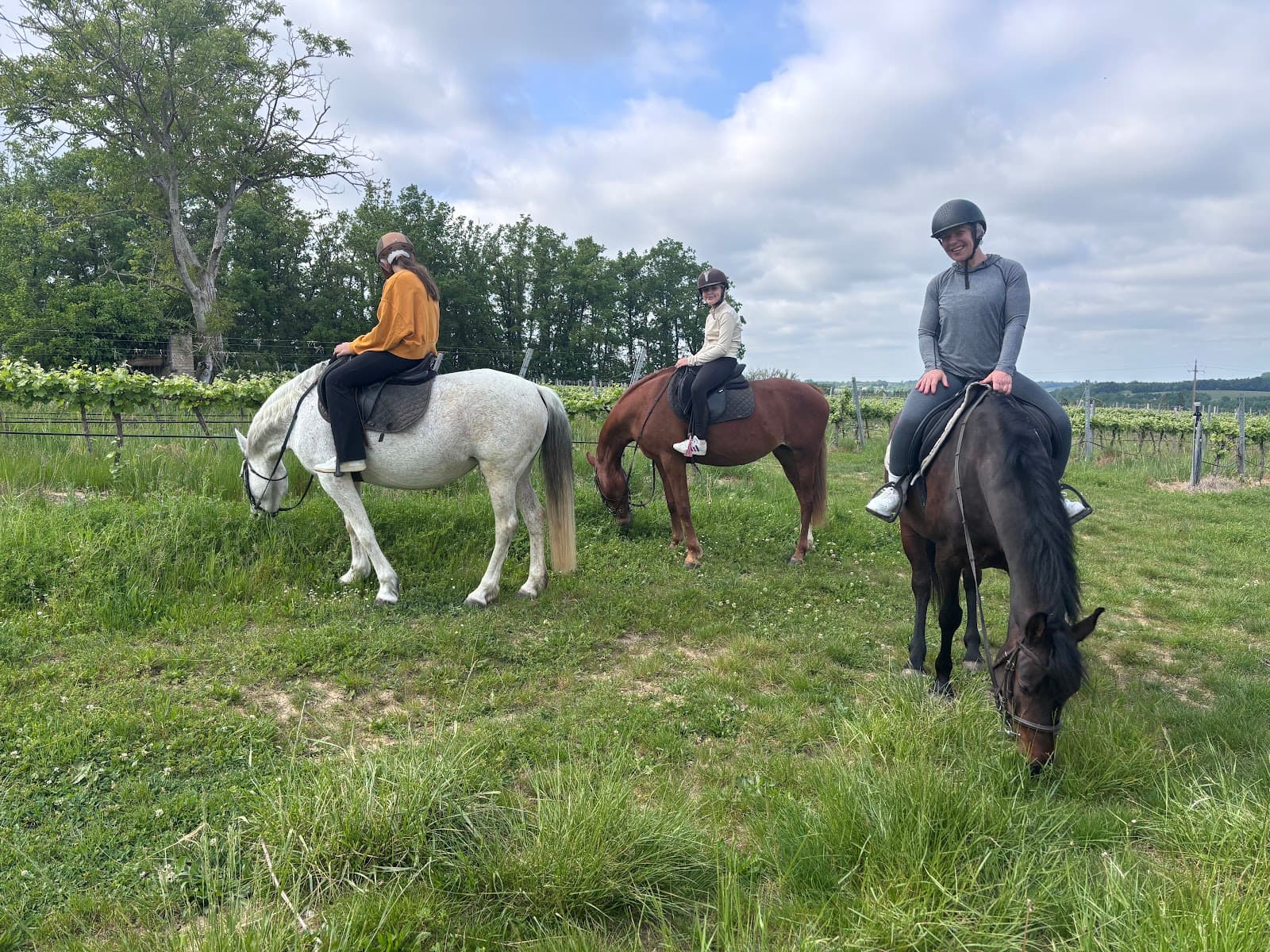 UN PONEY UNE HISTOIRE — photo 1