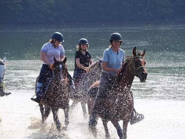VALJOLY EQUITATION — photo 1