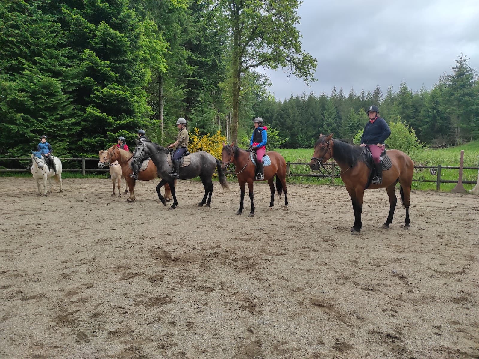 VASSIVIERE A CHEVAL 2 — photo 1