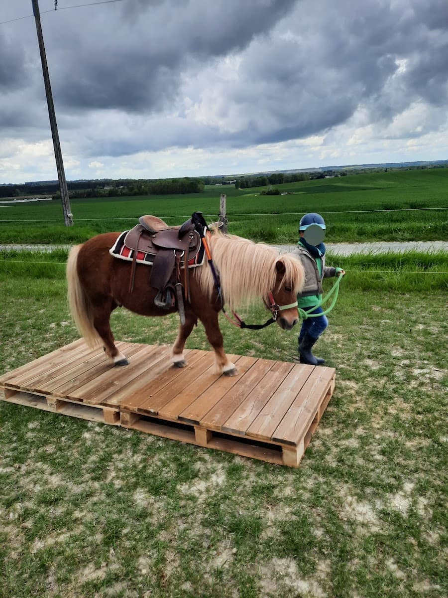 VM WESTERN POUR TOUS — photo 1